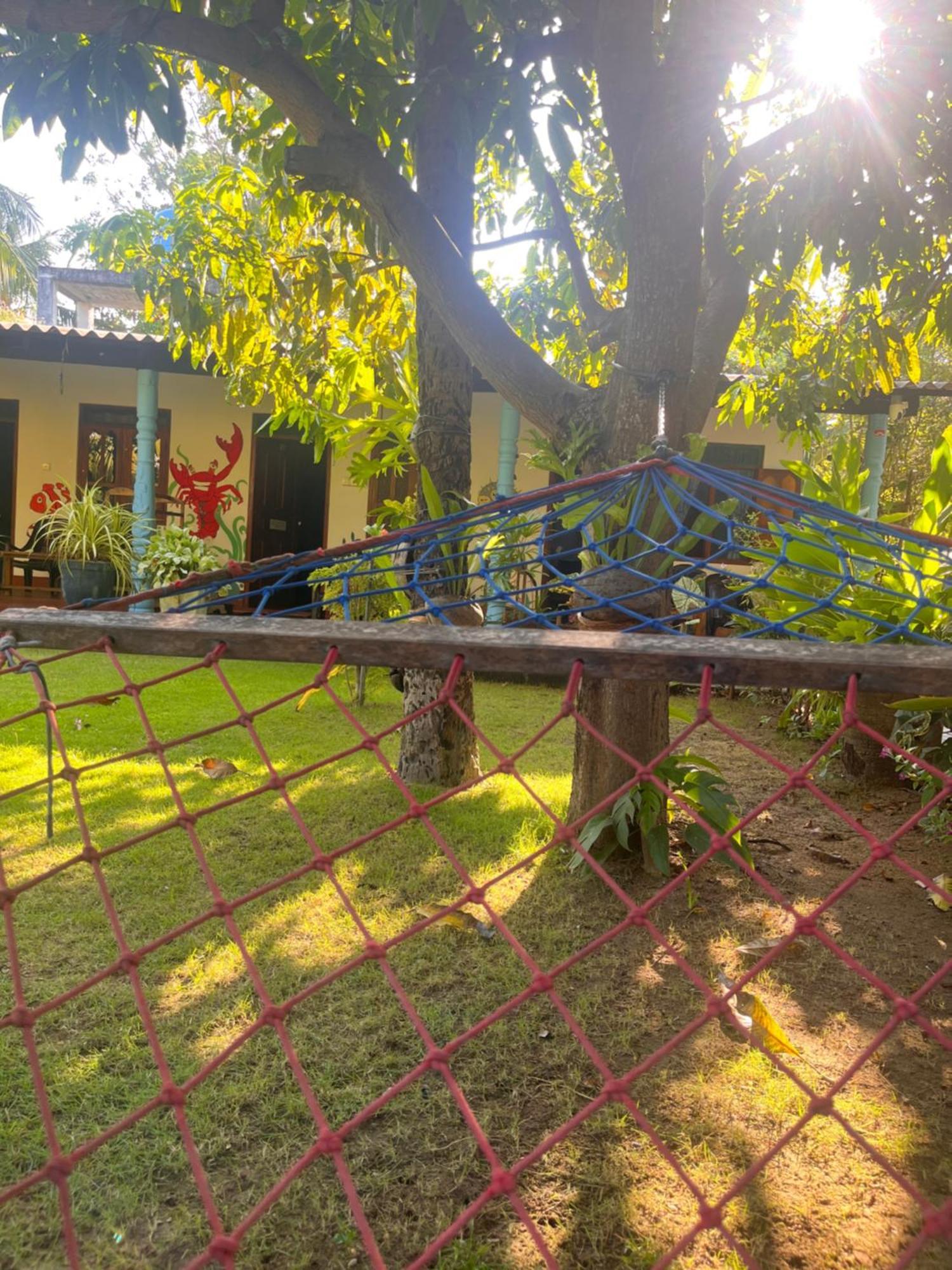Lobster Inn تريكونامالاي المظهر الخارجي الصورة