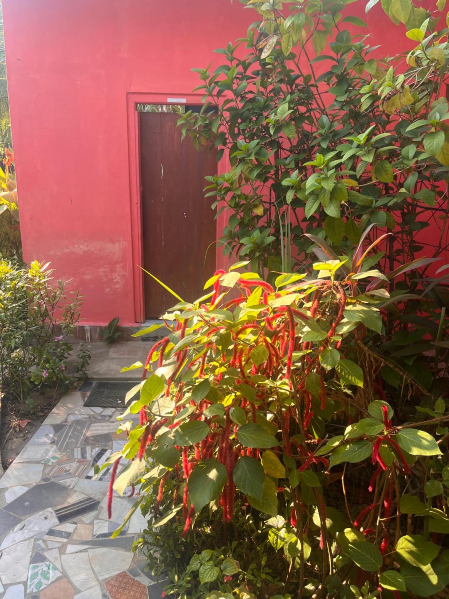 Lobster Inn تريكونامالاي المظهر الخارجي الصورة