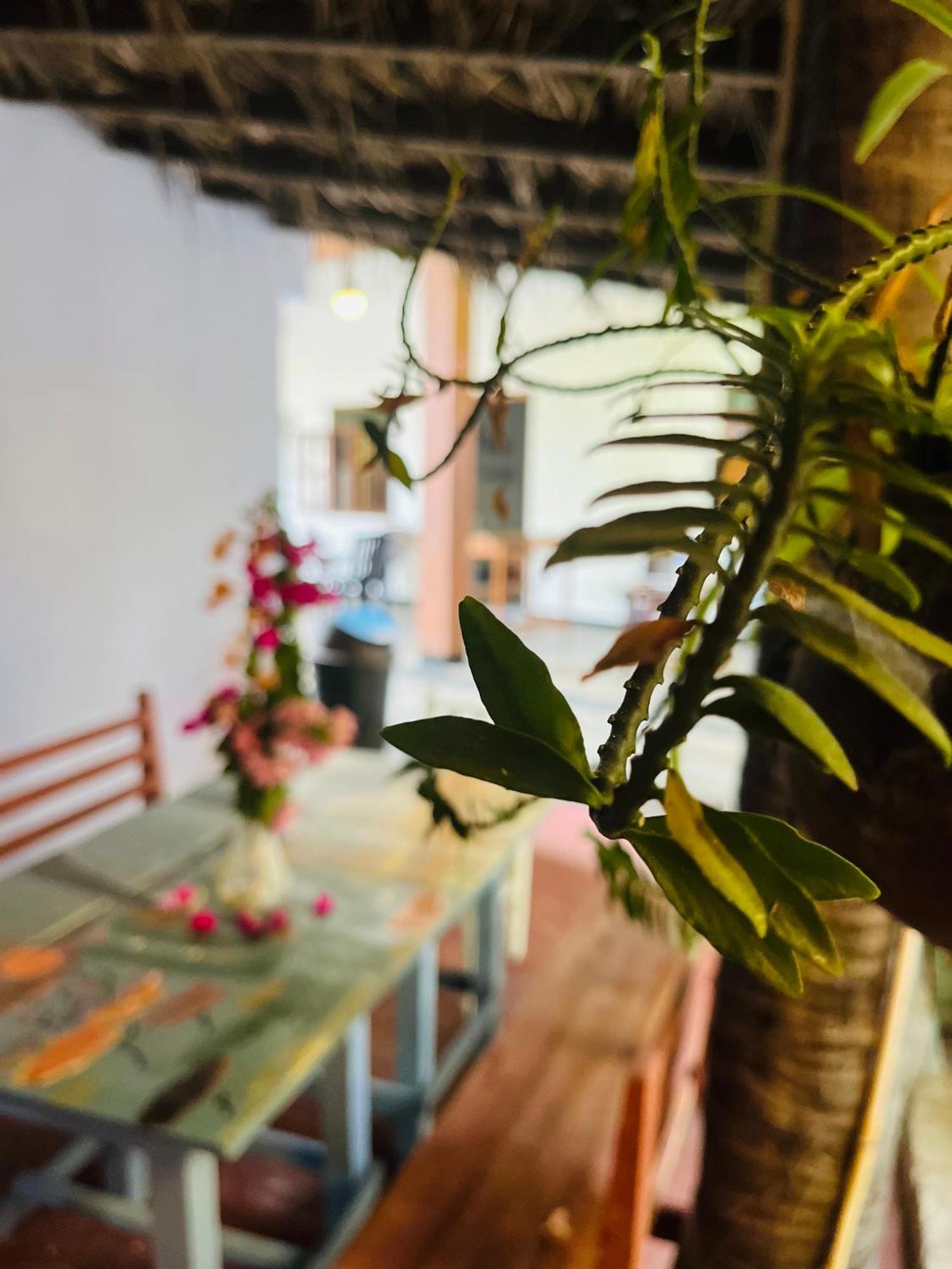 Lobster Inn تريكونامالاي المظهر الخارجي الصورة