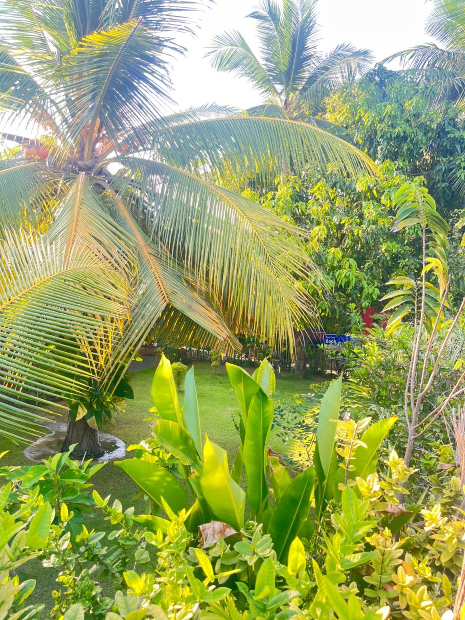 Lobster Inn تريكونامالاي المظهر الخارجي الصورة