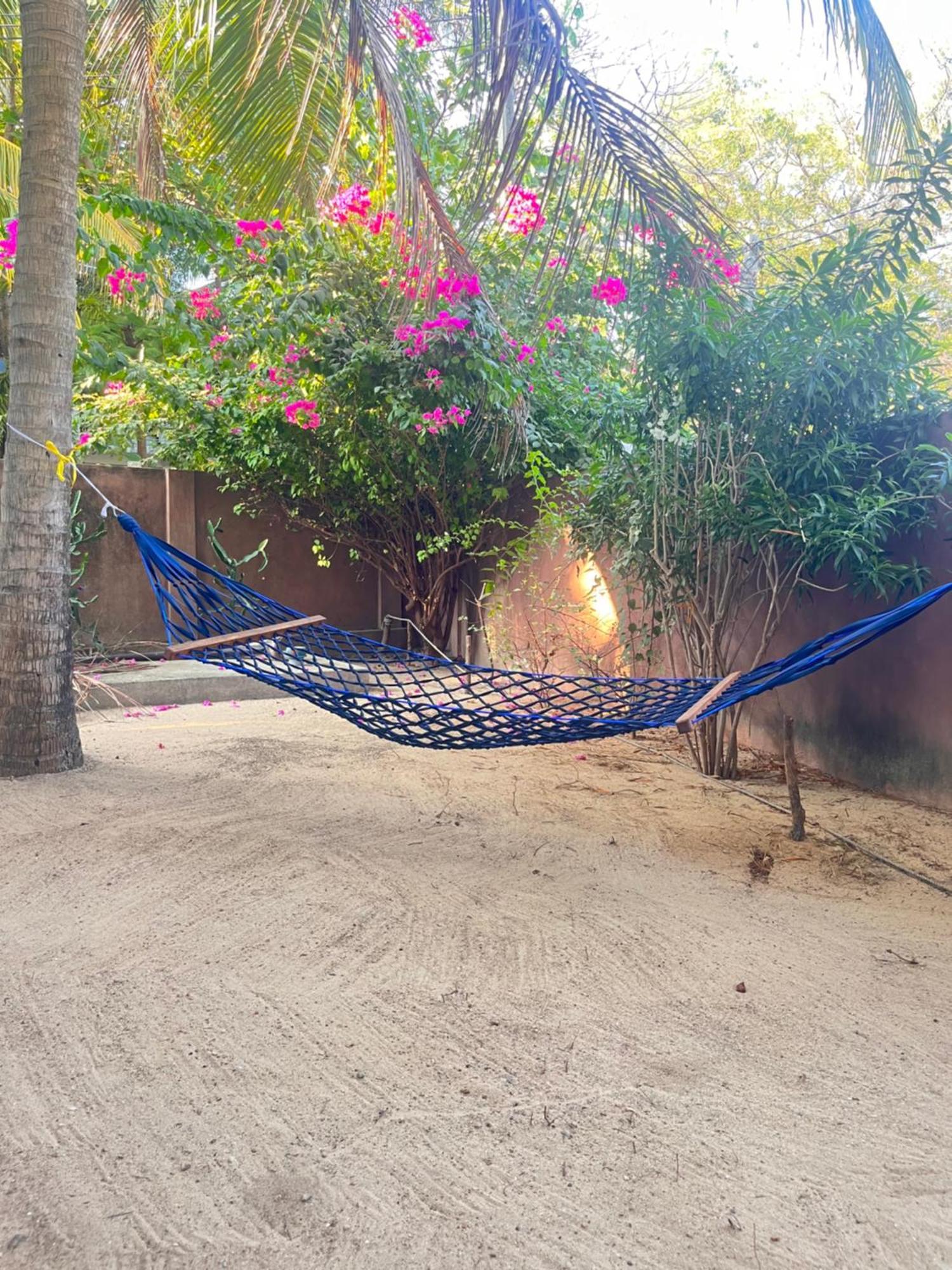 Lobster Inn تريكونامالاي المظهر الخارجي الصورة