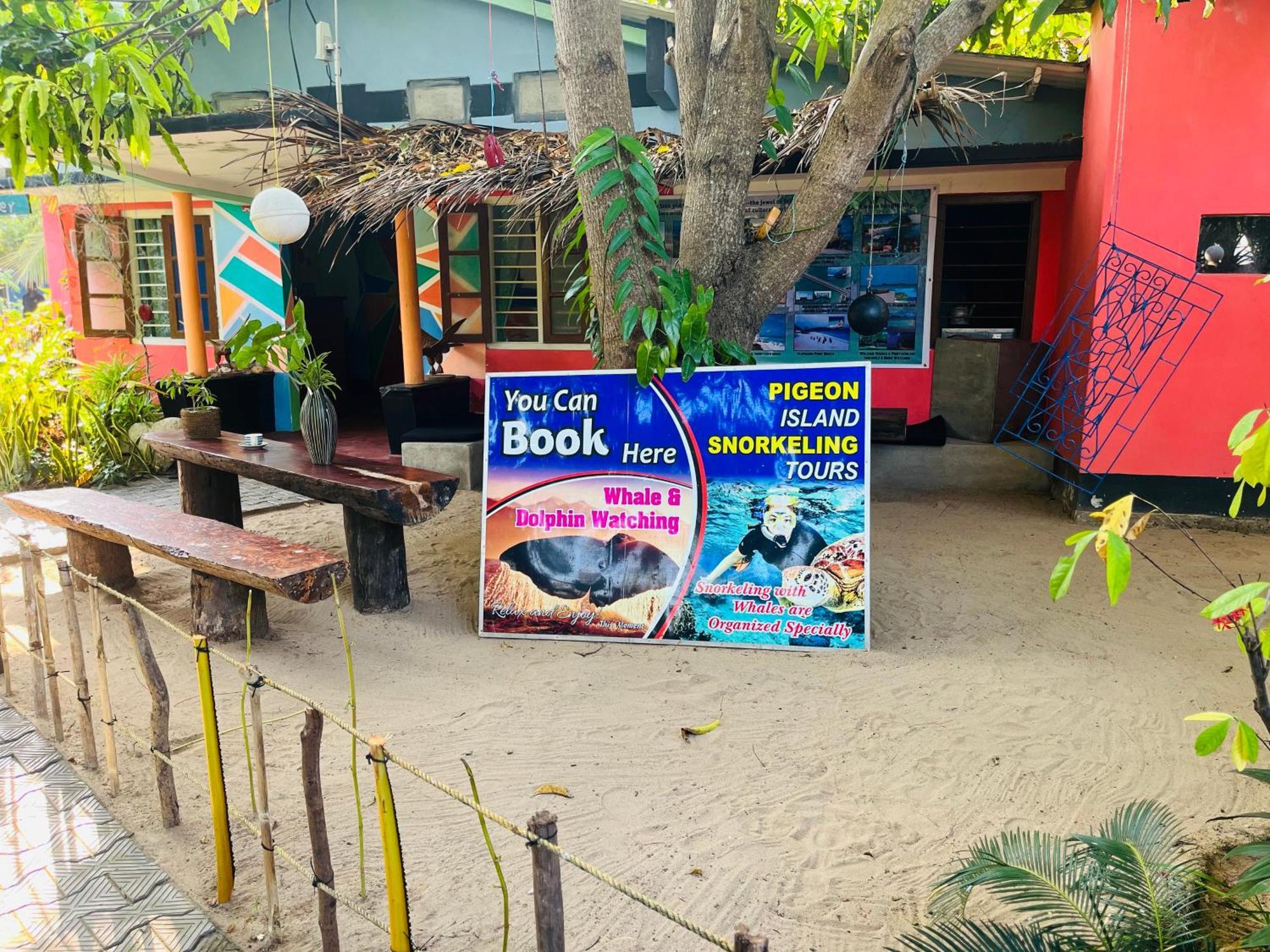 Lobster Inn تريكونامالاي المظهر الخارجي الصورة